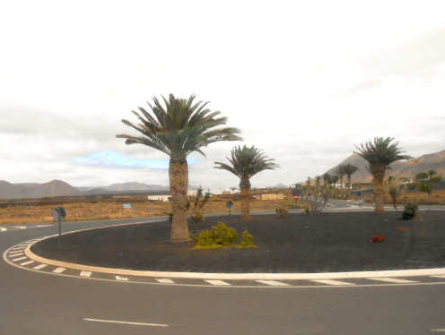 Kreisverkehr mit Palmengruppe auf Lanzerote