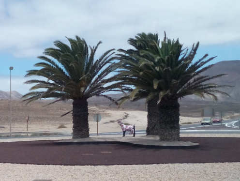 Kunst unter Palmen auf Fuerteventura