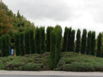 Scheffelstra�e - Odenwaldring - S�dtangente in Schwetzingen