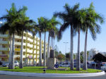 Av de Alfereces Provisionales - Av de Tirajana in San Bartolome de Tirajana