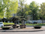 Hohenzollernstr. - Hachelallee - K�nigsberger Landstr. - Sommerweg in Pforzheim