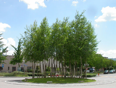 Kreiselkunstwerk in Hauptstrasse Richtung Arlesheim/Autobahn in Reinach 