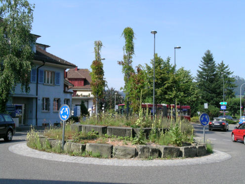 Kreiselkunstwerk in Bernstrasse - Obere Zollgasse -Untere Zollgasse 