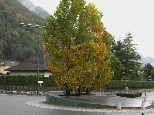 Kreiselkunstwerk in Heilig Kreuz - Zollstrasse in Vaduz 