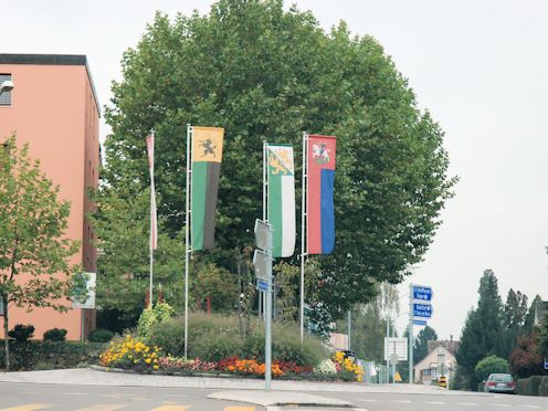 Kreiselkunstwerk in Kaltenbacherstrasse - Wagenhauserstrasse - Eschenzerstrasse in Stein am Rhein  