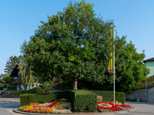 Kreiselkunstwerk in Bülach