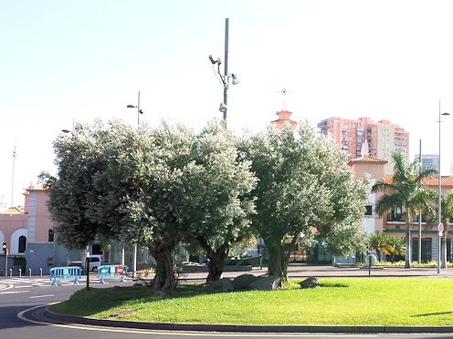 Kreiselkunstwerk in  Av de San Sebastián in Santa Cruz de Tenerife 