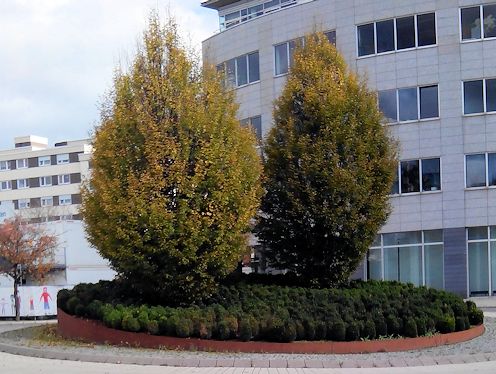 Kreiselkunstwerk in Wolfgang-Brumme-Allee - Friedrich-List-Straße in Böblingen 
