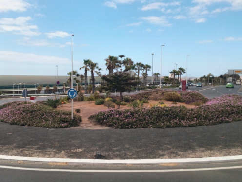 Gartenkunst auf Fuerteventura