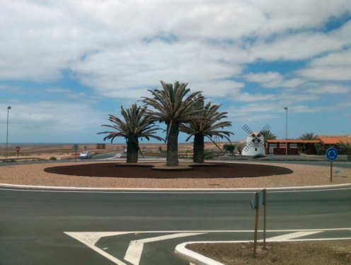 Kunst unter Palmen auf Fuerteventura